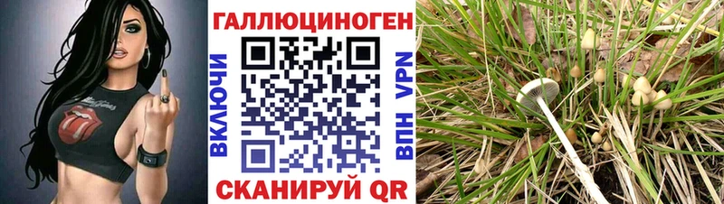 Псилоцибиновые грибы ЛСД  Купить где  Северск 